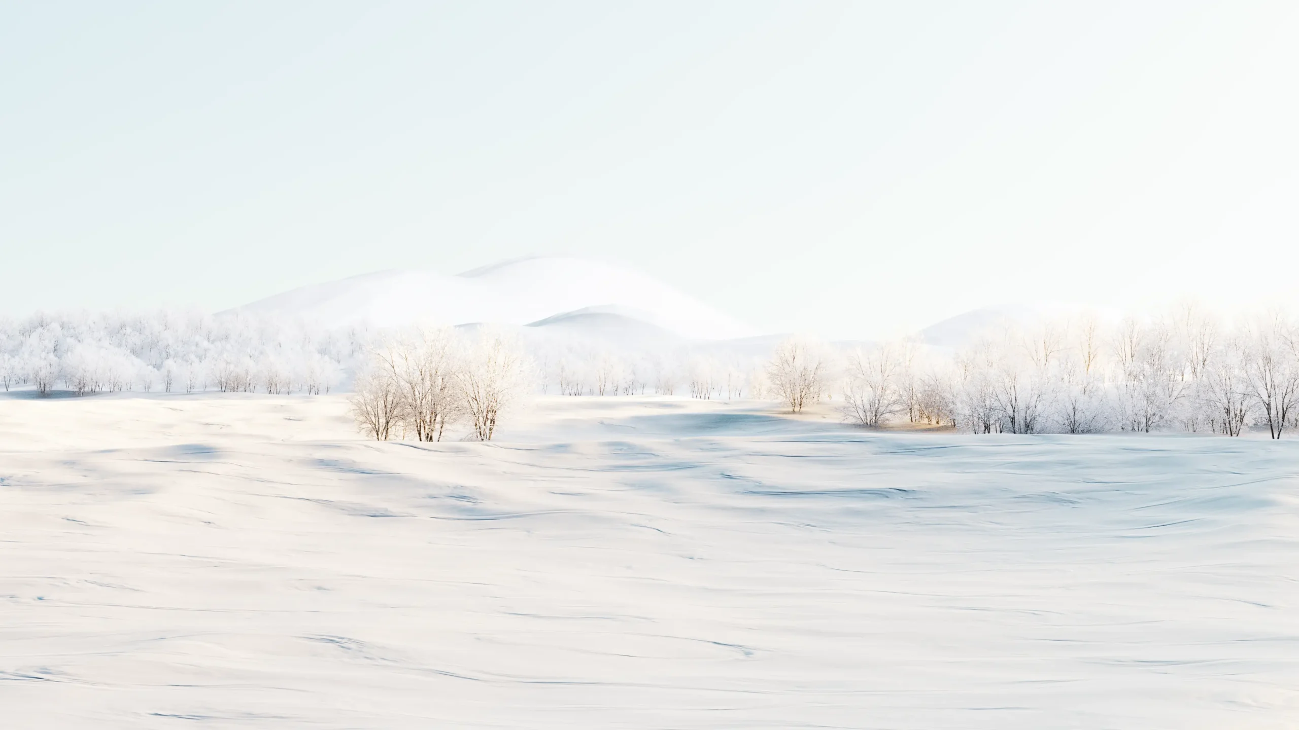 Magnane est un studio créatif spécialisé dans les images fixes et de films en 3D.