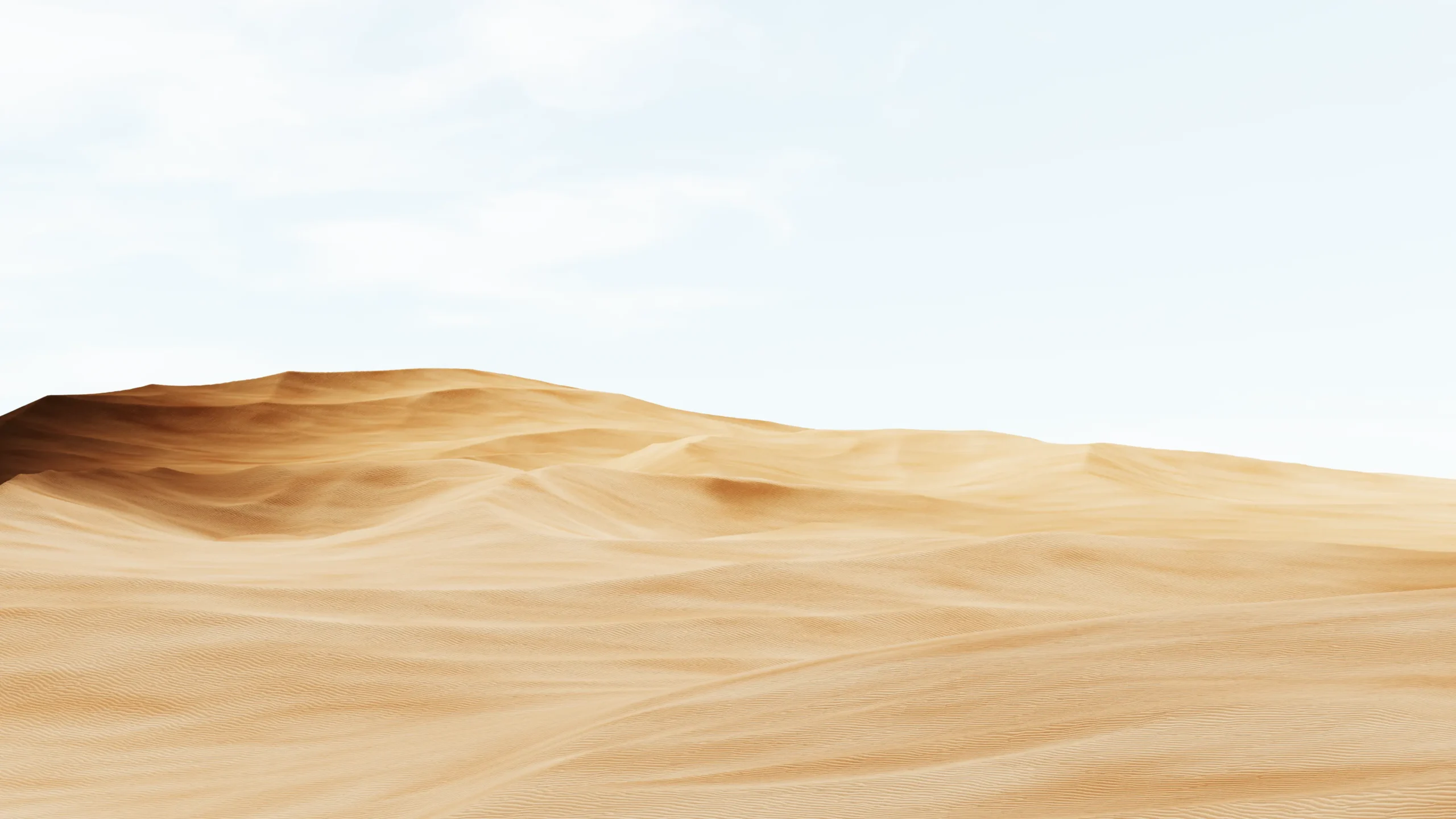 Magnane est un studio créatif spécialisé dans les images fixes et de films en 3D.